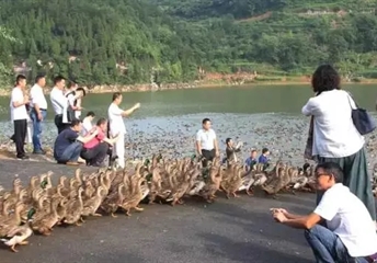 五岳華夏、沃土研究院走進貴州松桃縣