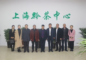 汖明西秀 | 走訪上海大寧國際茶城&帝芙特茶文化廣場